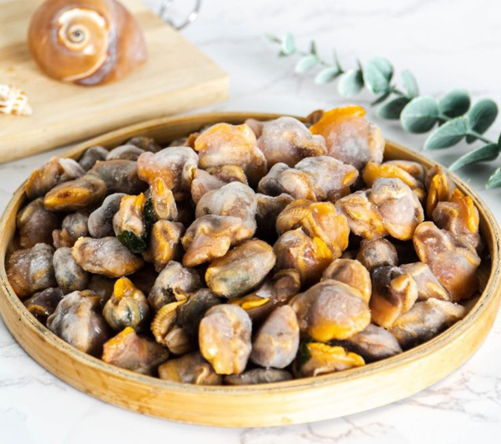 Ark Shell Meat 1