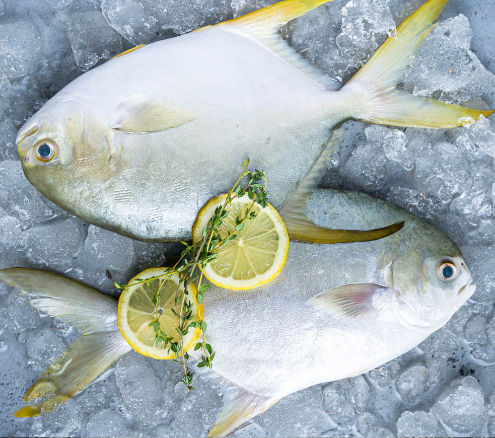 Pomfret1