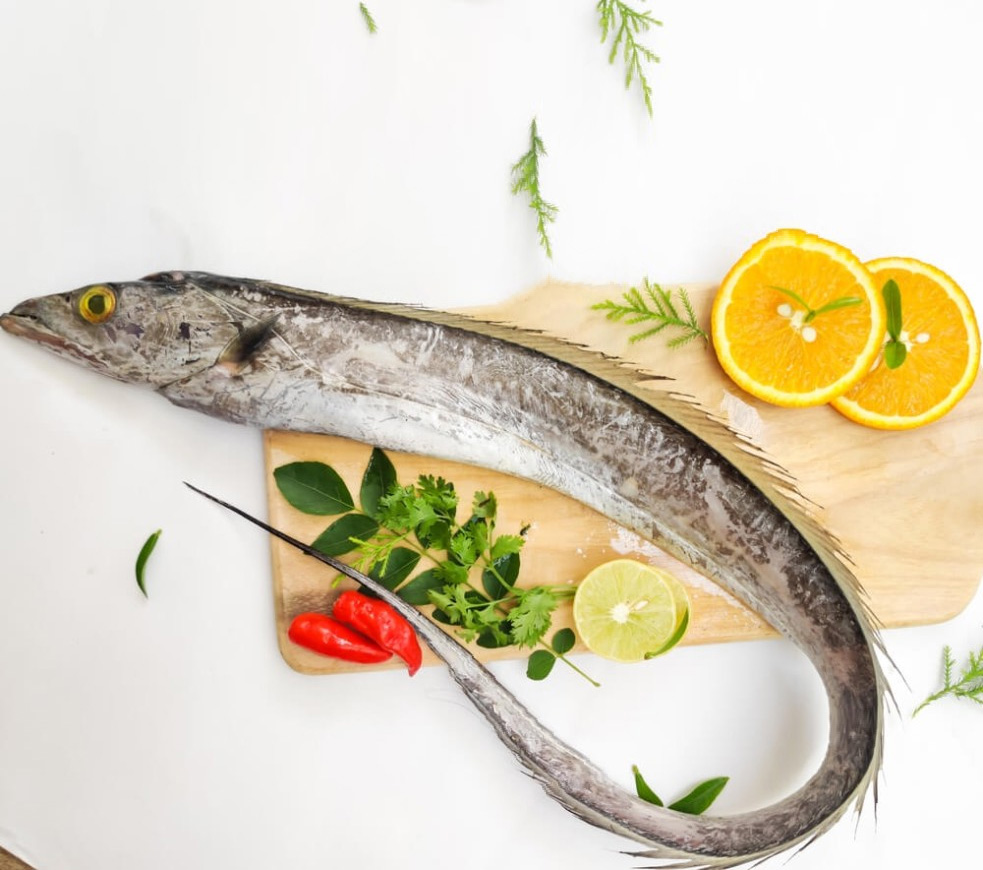 Ribbonfish