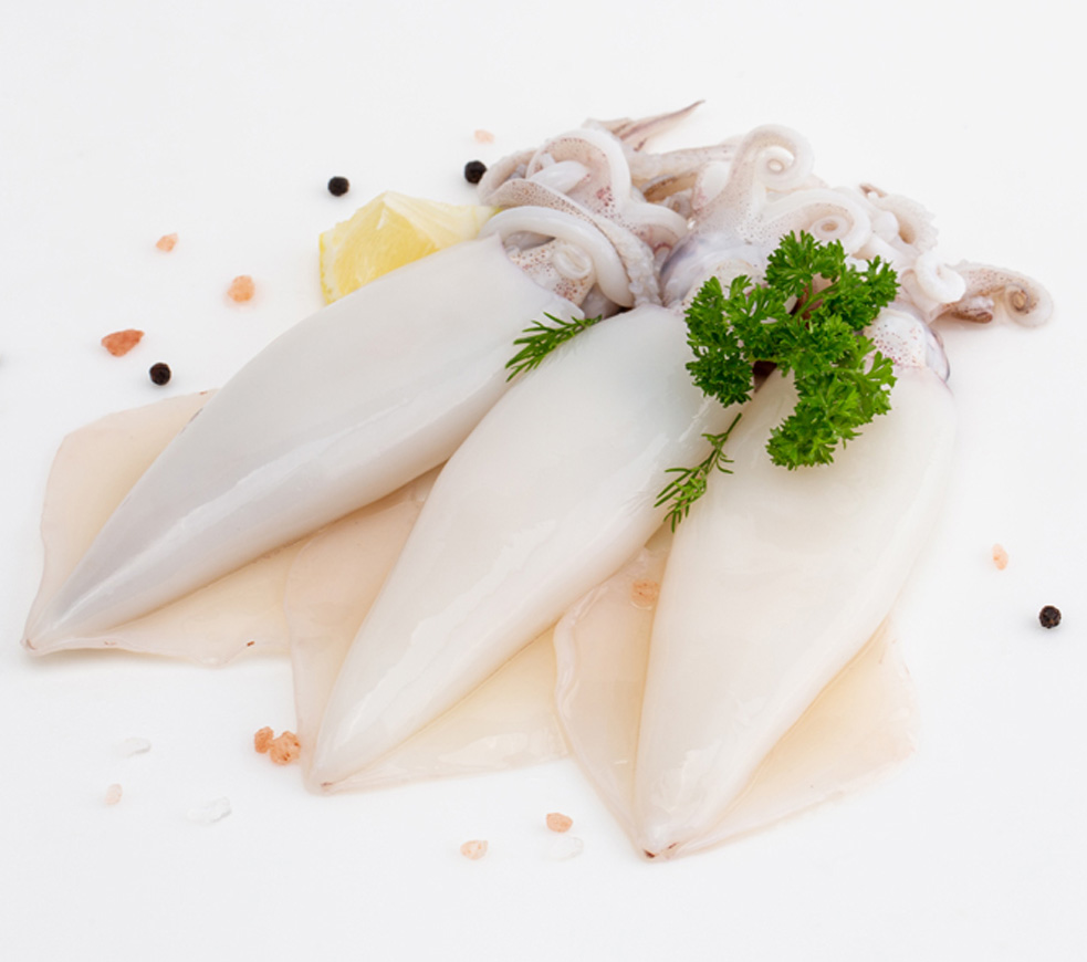 Squid2