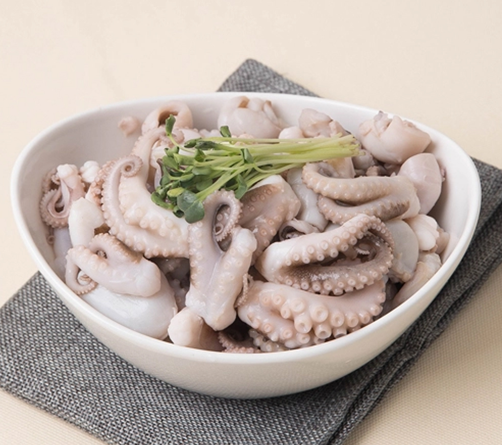 octopus